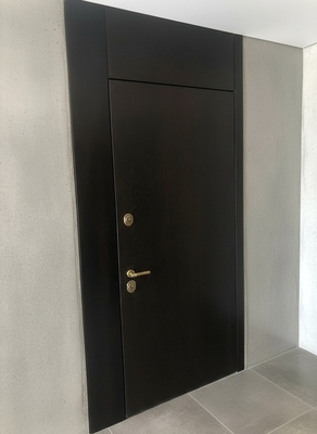 Темная дверь со вставками